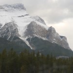 P1000363