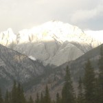 P1000409